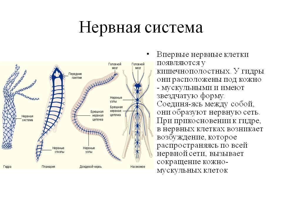 Как зарегаться на кракене